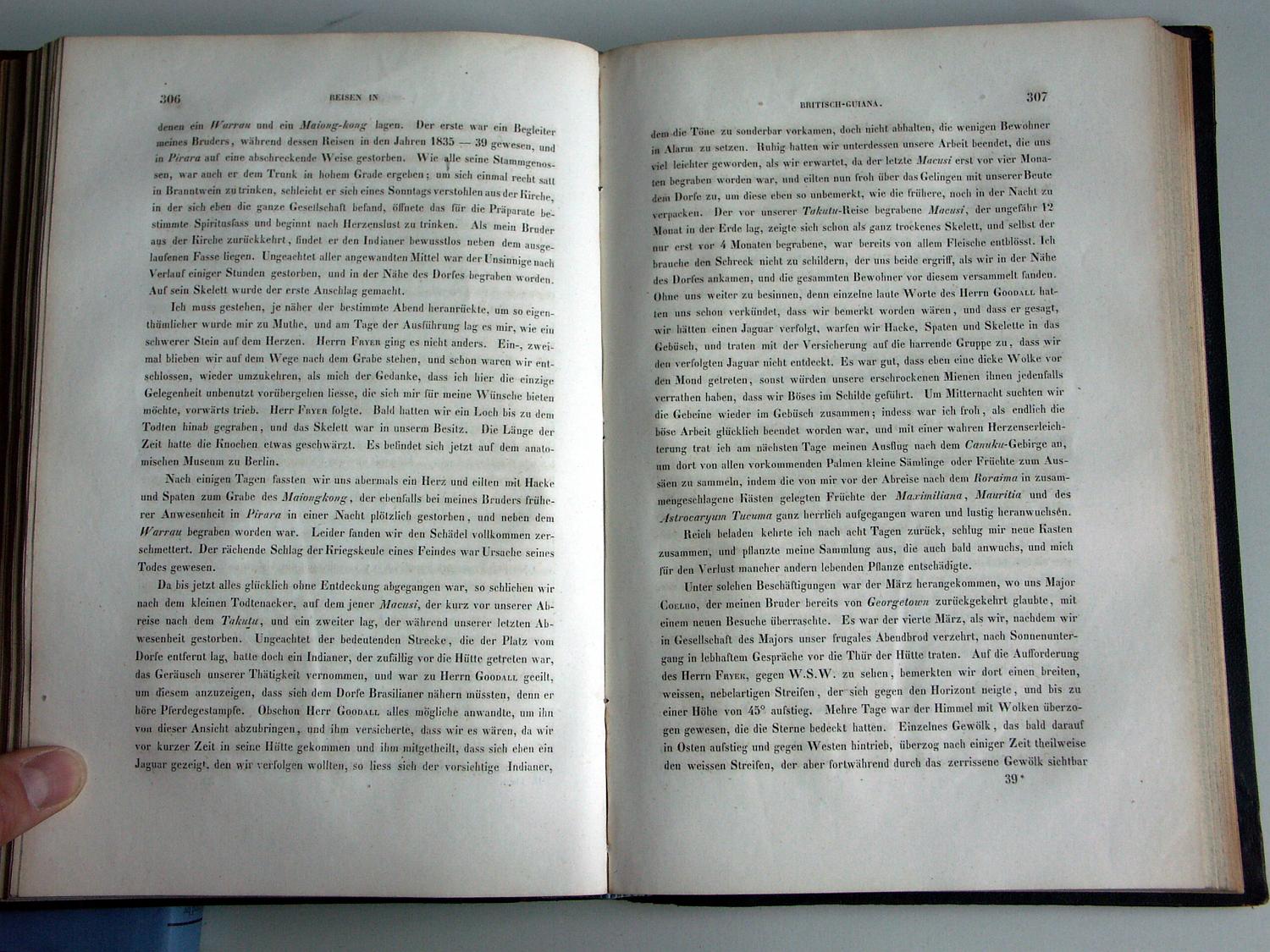 ZZ-RISC48,S.306 Skelett eines Warrau im Berliner Museum 4. März